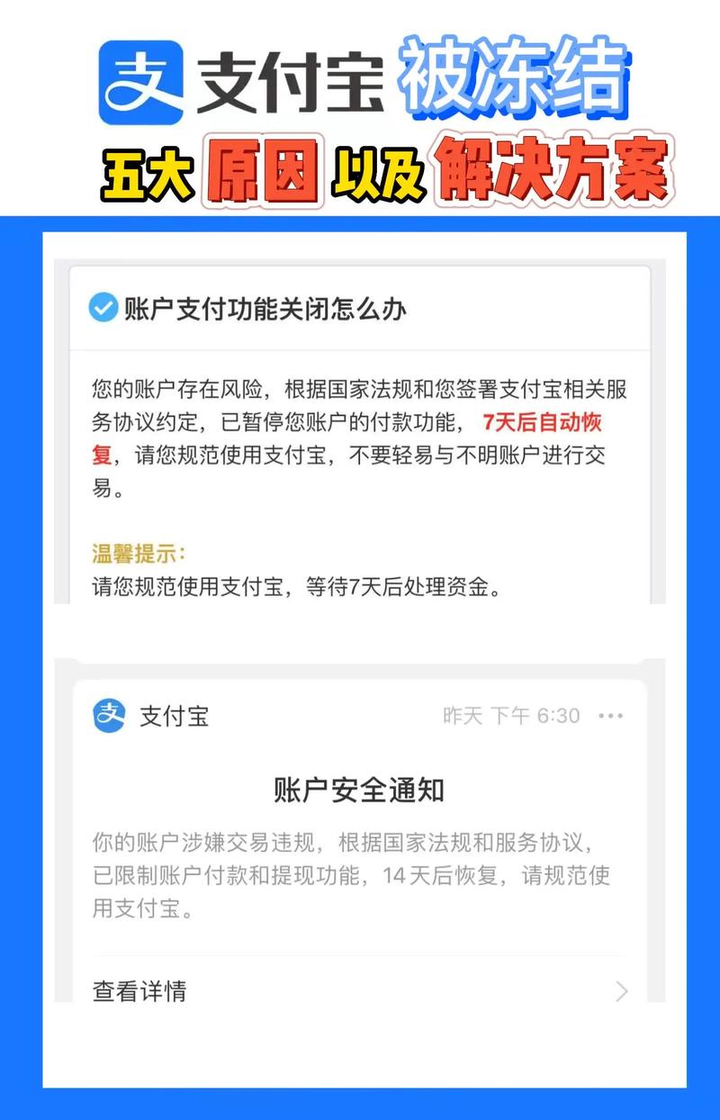 支付宝支付密码被锁定怎么办？支付宝支付密码被锁了？								