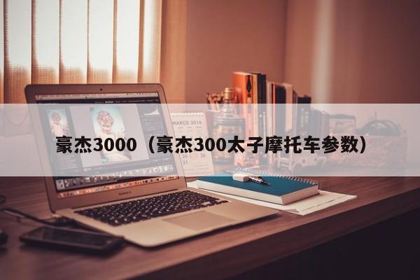 豪杰3000（豪杰300太子摩托车参数）