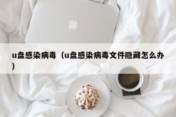 u盘感染病毒（u盘感染病毒文件隐藏怎么办）