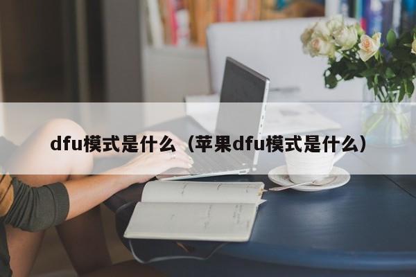 dfu模式是什么（苹果dfu模式是什么）