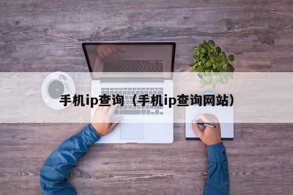 手机ip查询（手机ip查询网站）