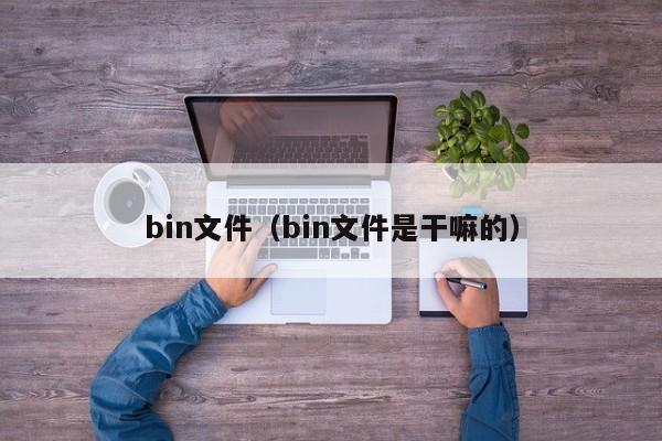 bin文件（bin文件是干嘛的）