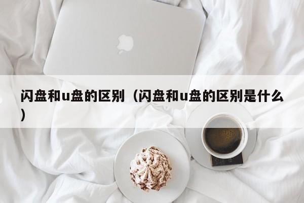 闪盘和u盘的区别（闪盘和u盘的区别是什么）