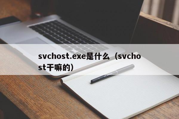 svchost.exe是什么（svchost干嘛的）