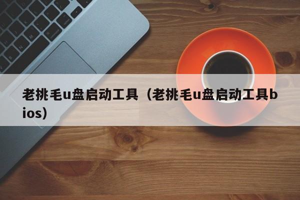 老挑毛u盘启动工具（老挑毛u盘启动工具bios）