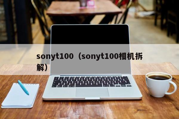 sonyt100（sonyt100相机拆解）