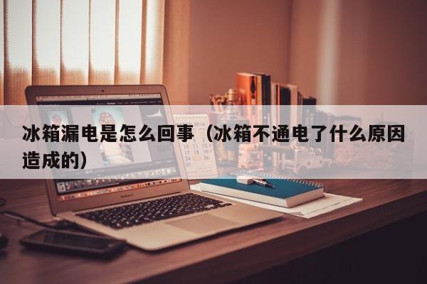 冰箱漏电是怎么回事（冰箱不通电了什么原因造成的）