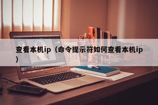 查看本机ip（命令提示符如何查看本机ip）