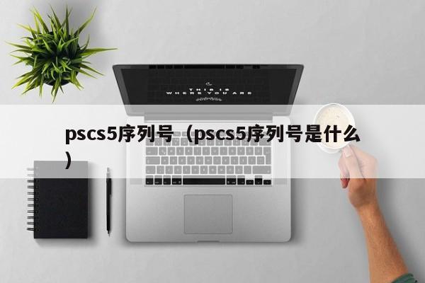 pscs5序列号（pscs5序列号是什么）