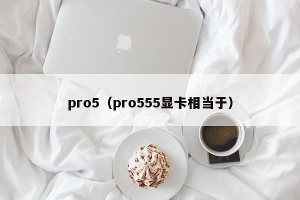 pro5（pro555显卡相当于）