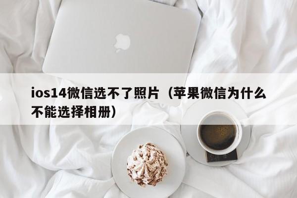 ios14微信选不了照片（苹果微信为什么不能选择相册）