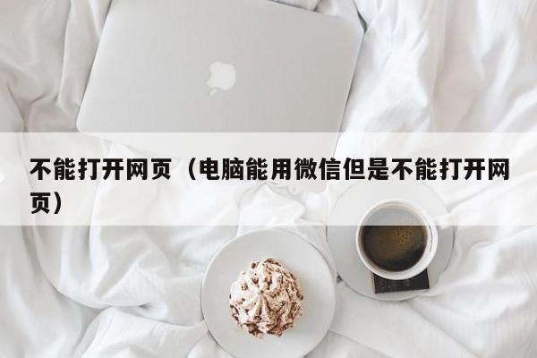 不能打开网页（电脑能用微信但是不能打开网页）