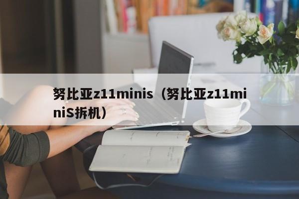 努比亚z11minis（努比亚z11miniS拆机）