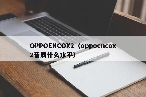 OPPOENCOX2（oppoencox2音质什么水平）