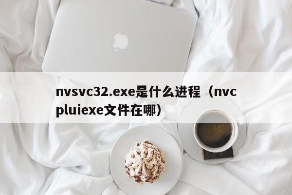 nvsvc32.exe是什么进程（nvcpluiexe文件在哪）