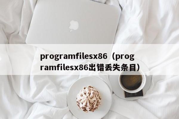 programfilesx86（programfilesx86出错丢失条目）