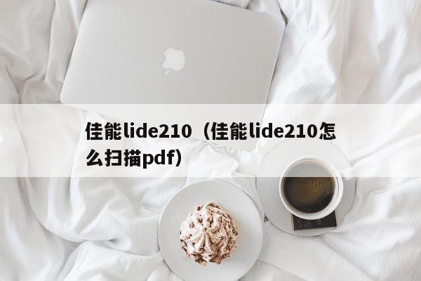 佳能lide210（佳能lide210怎么扫描pdf）