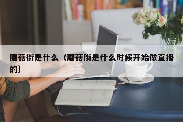 蘑菇街是什么（蘑菇街是什么时候开始做直播的）