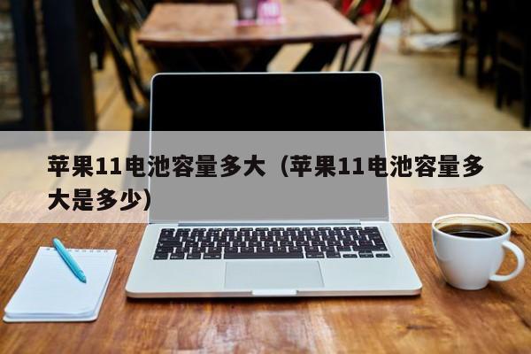 苹果11电池容量多大（苹果11电池容量多大是多少）