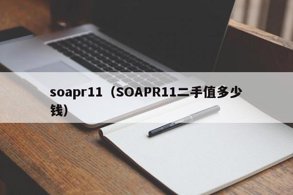 soapr11（SOAPR11二手值多少钱）