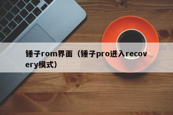 锤子rom界面（锤子pro进入recovery模式）