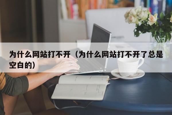 为什么网站打不开（为什么网站打不开了总是空白的）