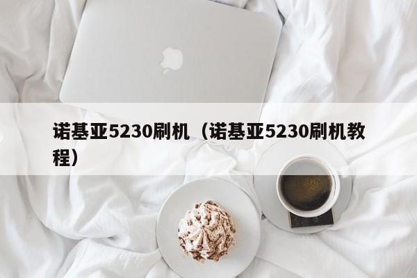 诺基亚5230刷机（诺基亚5230刷机教程）