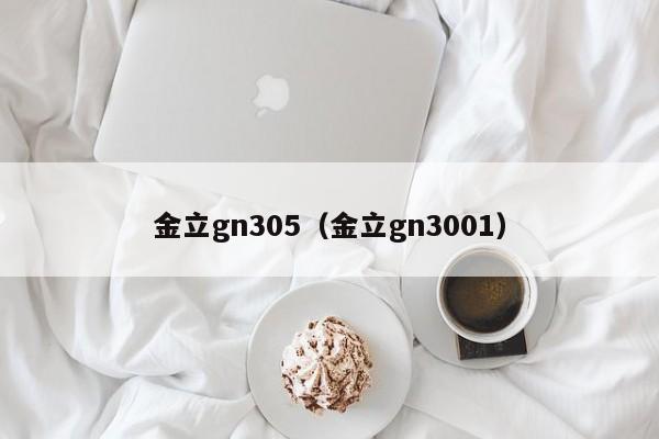 金立gn305（金立gn3001）