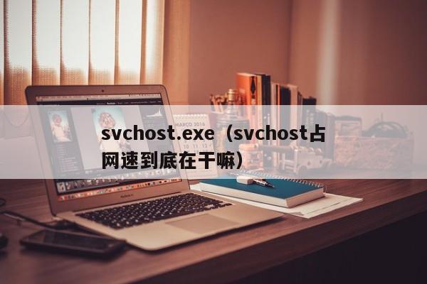 svchost.exe（svchost占网速到底在干嘛）