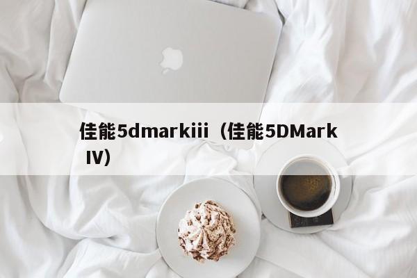 佳能5dmarkiii（佳能5DMark IV）