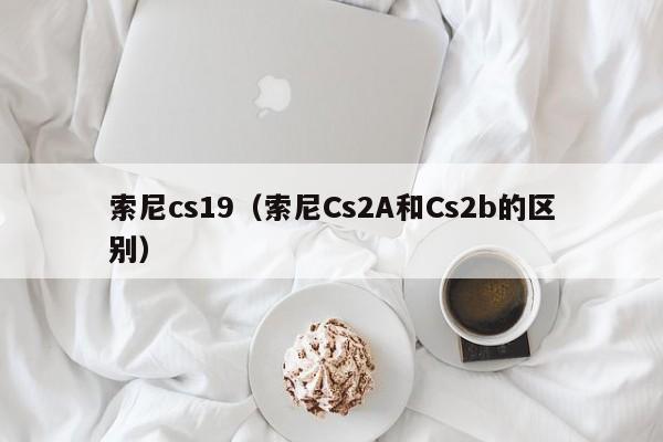 索尼cs19（索尼Cs2A和Cs2b的区别）