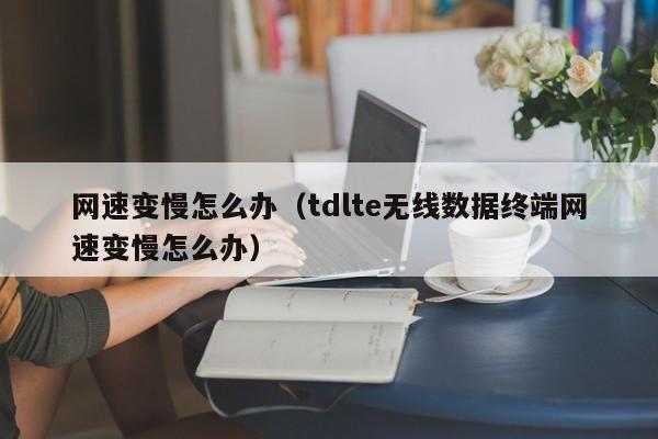 网速变慢怎么办（tdlte无线数据终端网速变慢怎么办）